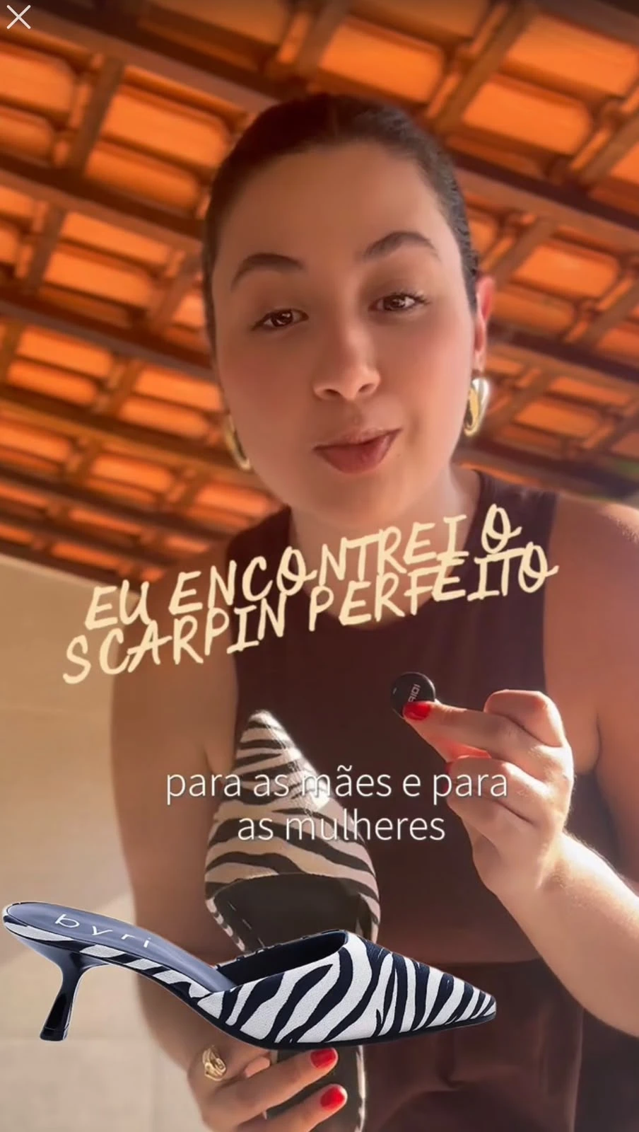 Capa do vídeo: o mule zebra da Byri